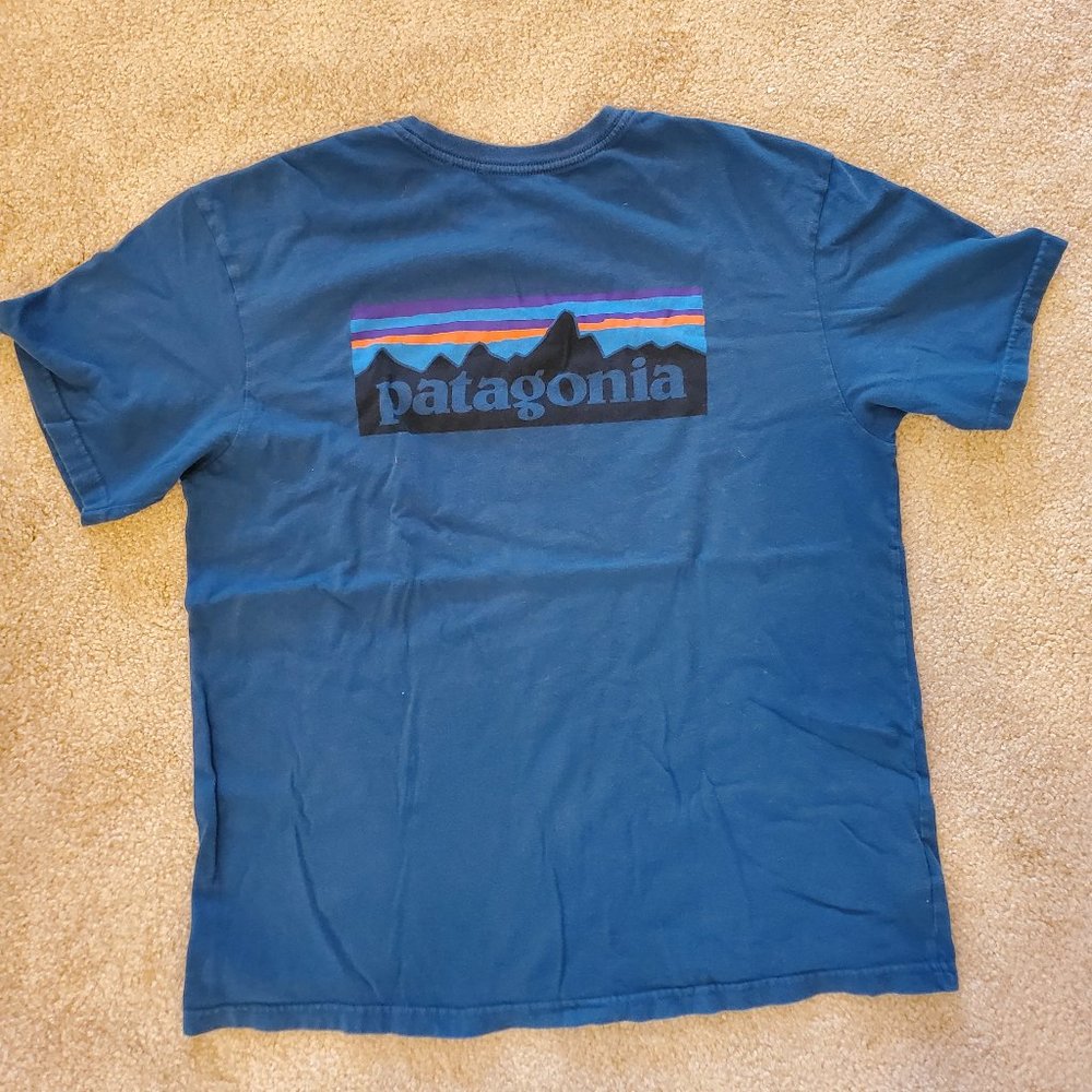 Patagonia Classic Mountain Range Tee